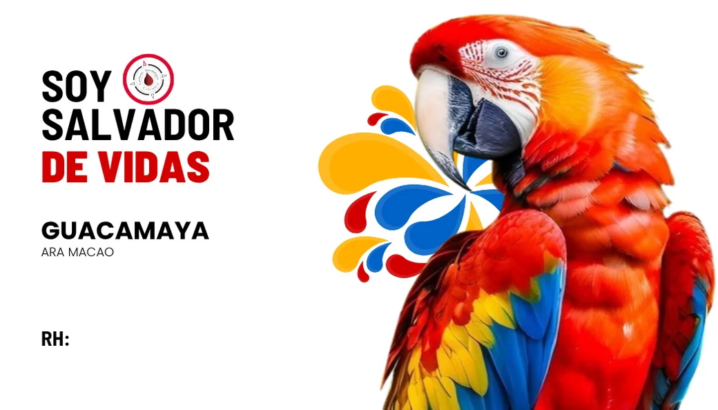 Carnet FUHECO del rango Guacamaya.