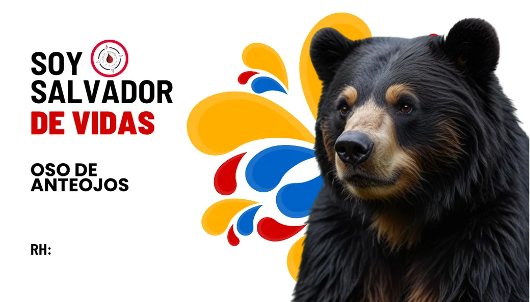 Carnet FUHECO del rango Oso andino.