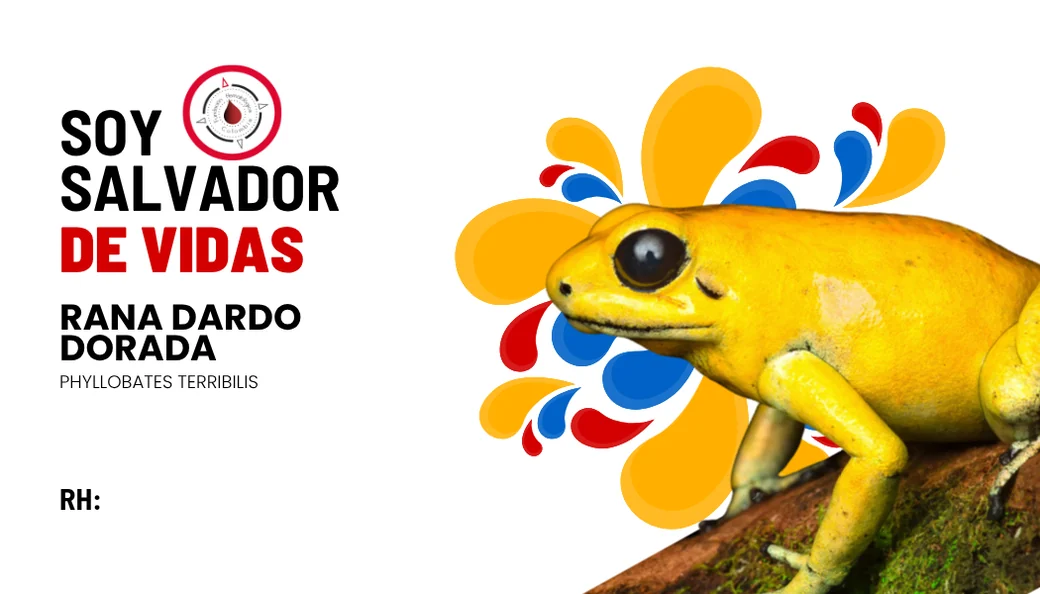 Carnet FUHECO del rango Rana dardo dorada.